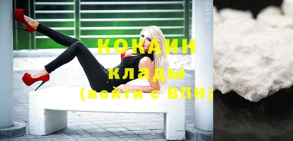 дмт Няндома
