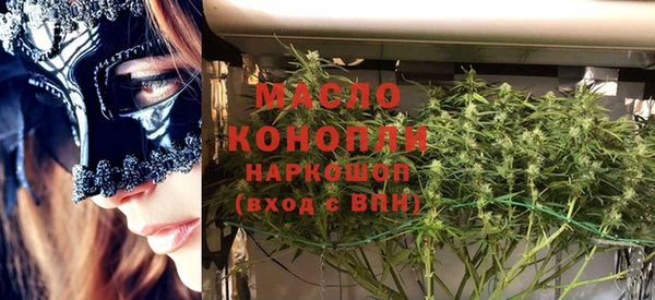 дмт Няндома