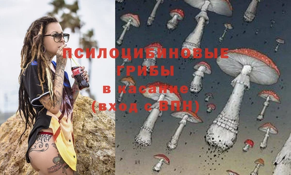 дмт Няндома