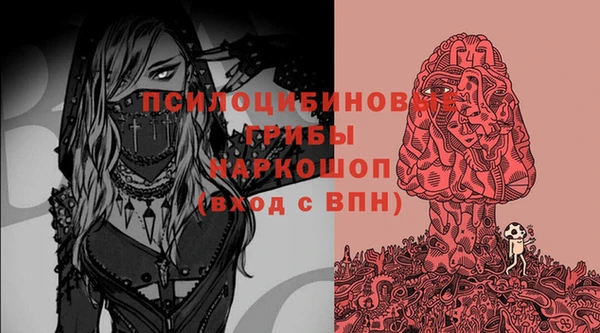 дмт Няндома