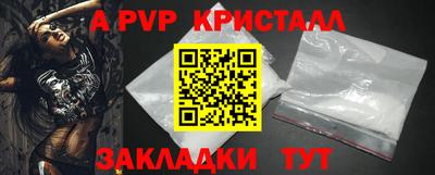 СК Гатчина