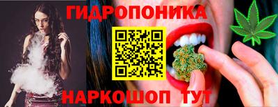 СК Гатчина