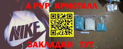 СК Гатчина
