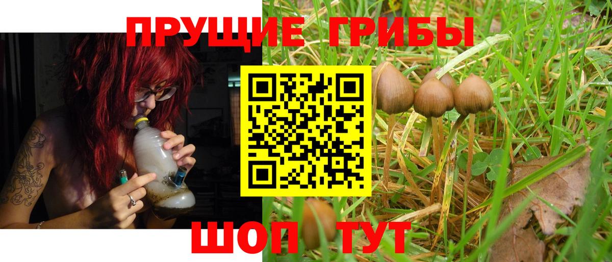 Галлюциногенные грибы ЛСД Амурск