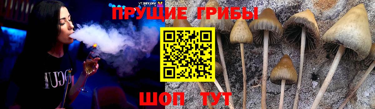 Галлюциногенные грибы Magic Shrooms Амурск